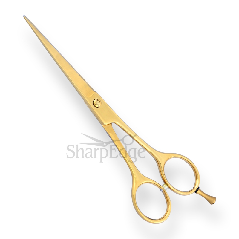 Professional Hair Dressing Scissors 